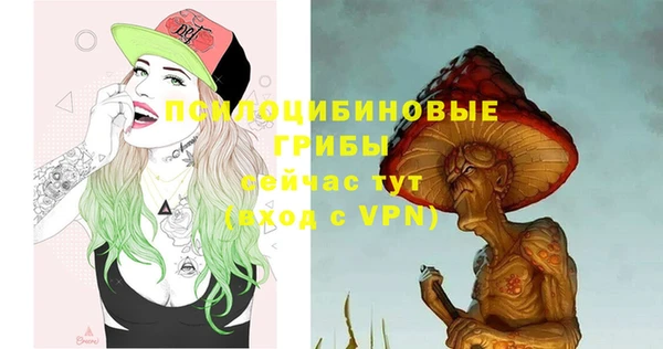 PSILOCYBIN Бугульма